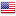 USA Flag